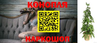 ГАЛЛЮЦИНОГЕННЫЕ ГРИБЫ Камышлов