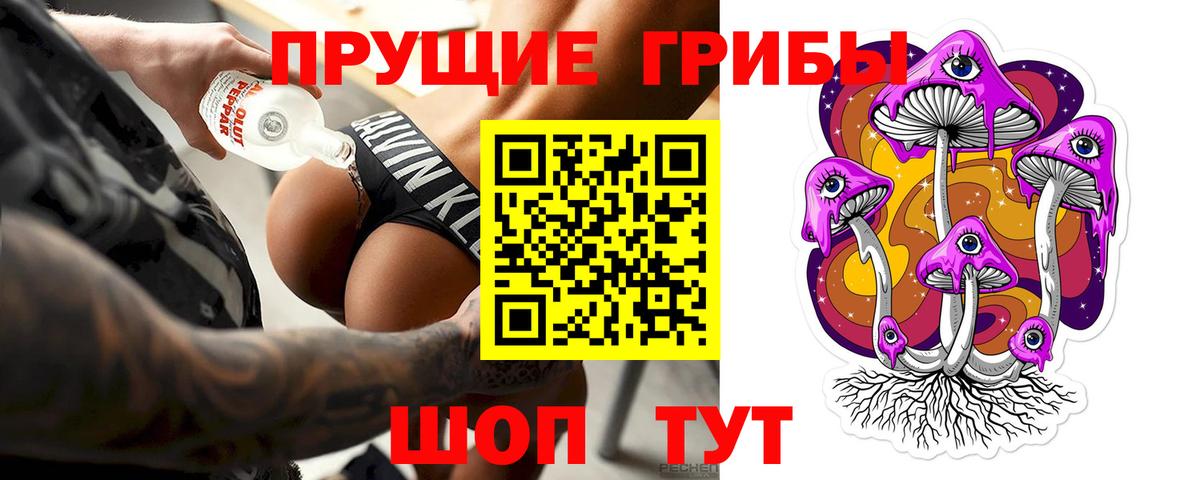 Вышний Волочёк  Псилоцибиновые грибы Cubensis  Вход с VPN 