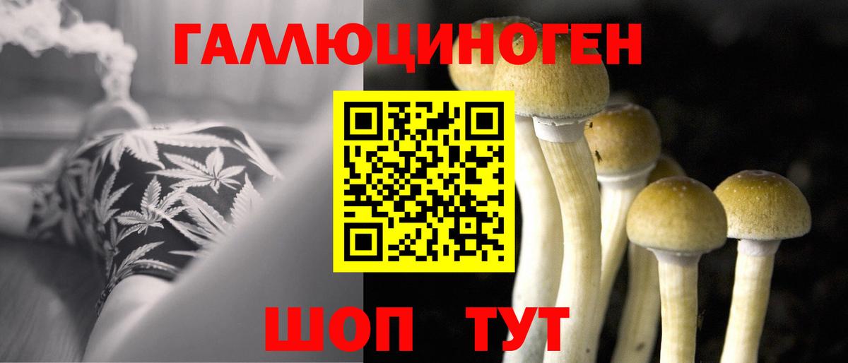 Псилоцибиновые грибы Magic Shrooms  Вышний Волочёк 